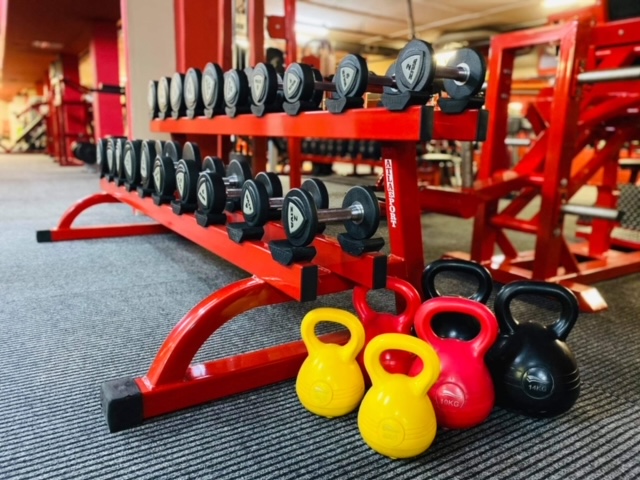 ProfiFitness edzés